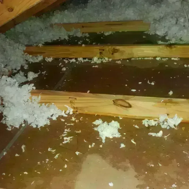 Attic Water Damage in Caney, KS